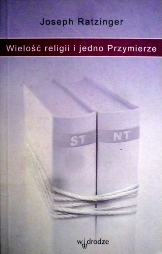 329 Wielość.JPG