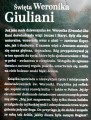 3350 Weronika (2).JPG