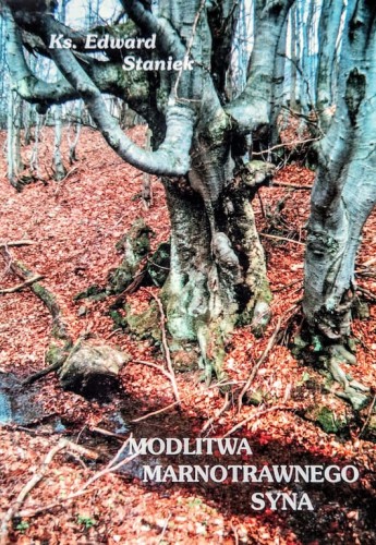 4236_Modlitwa marnotrawnego.jpeg
