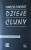 4205_Dzieje Cluny_1.jpeg