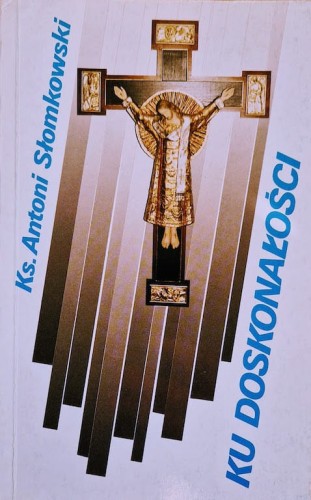 4252_Ku doskonałości.jpeg