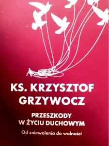 Przeszkody w życiu duchowym. Od zniewolenia do wolności.  Ks. Krzysztof Grzywocz