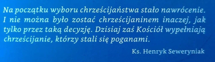 4889 niebieska (3).jpg