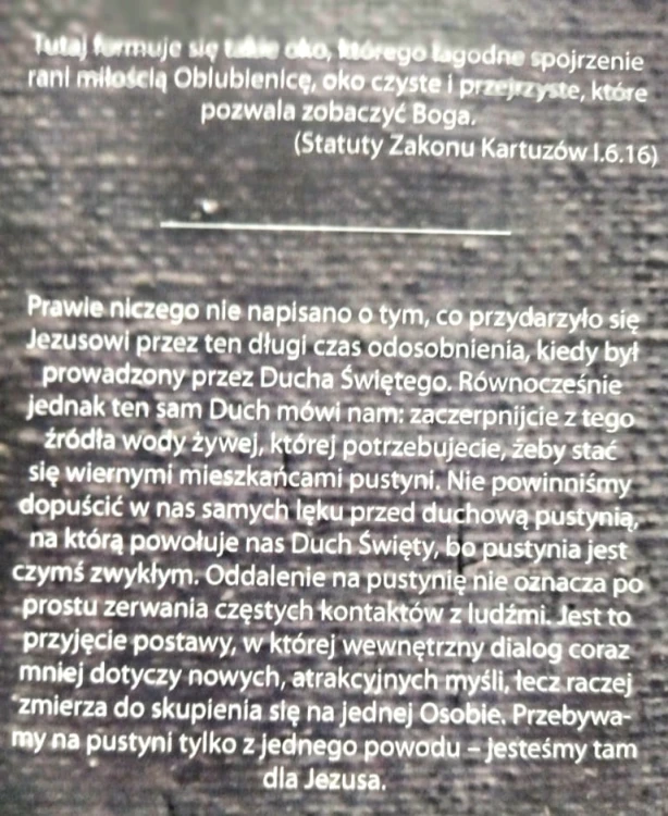 4964 rana (2).jpg