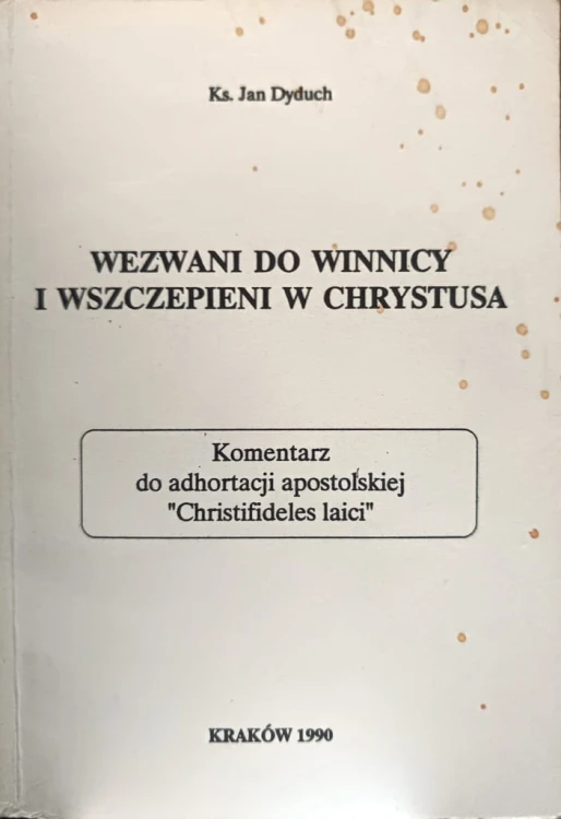 4163.jpg