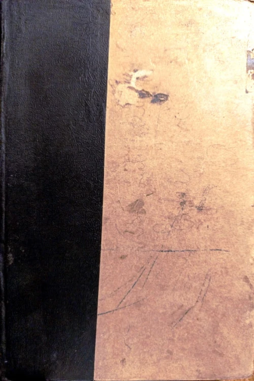 3415.jpg