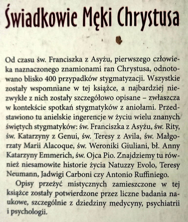 671 Stygmatycy (2).JPG